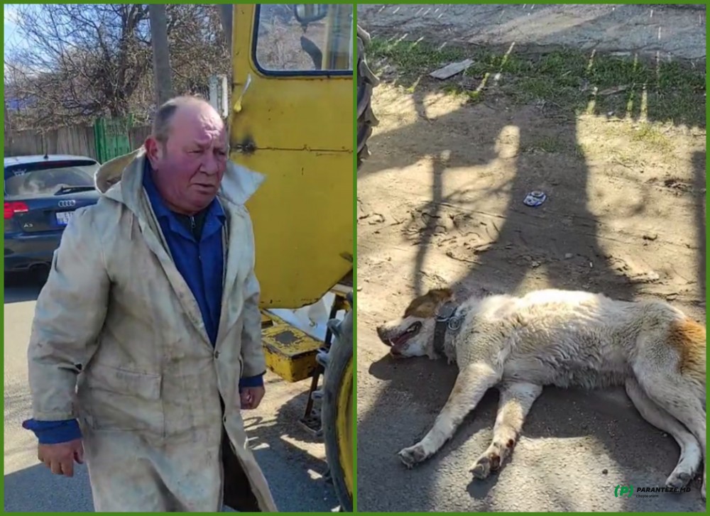 Cruzime fără margini. Un bărbat a târât un câine, legat de tractor